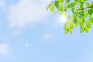 ヒーリングが得意な占い師